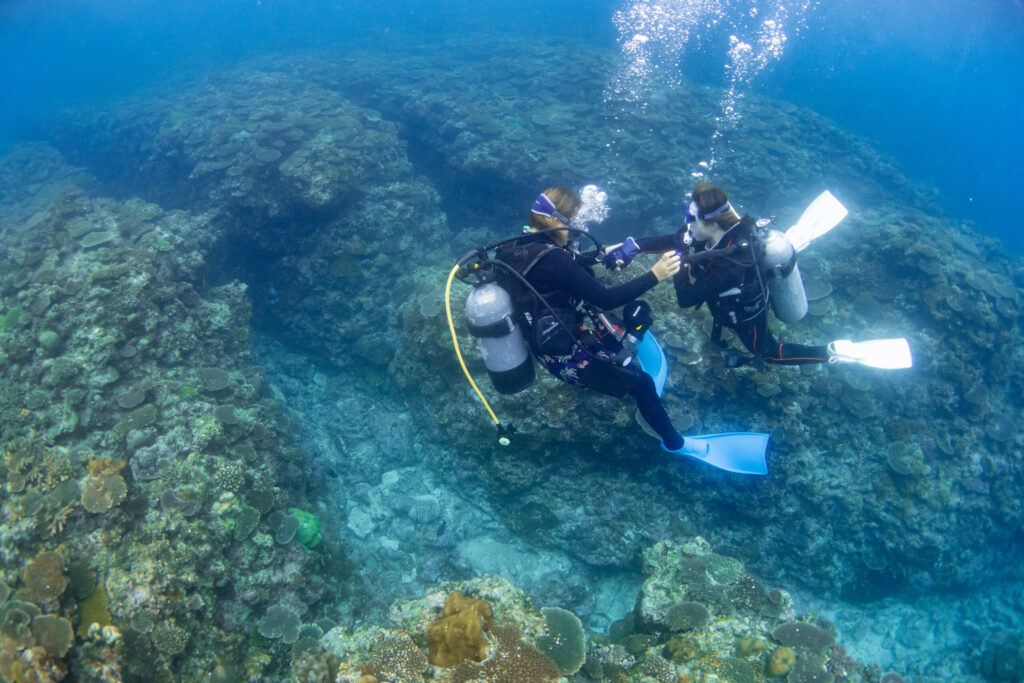 沖縄北部 体験ダイビング 水納島 サンゴ礁 SHIZUKA