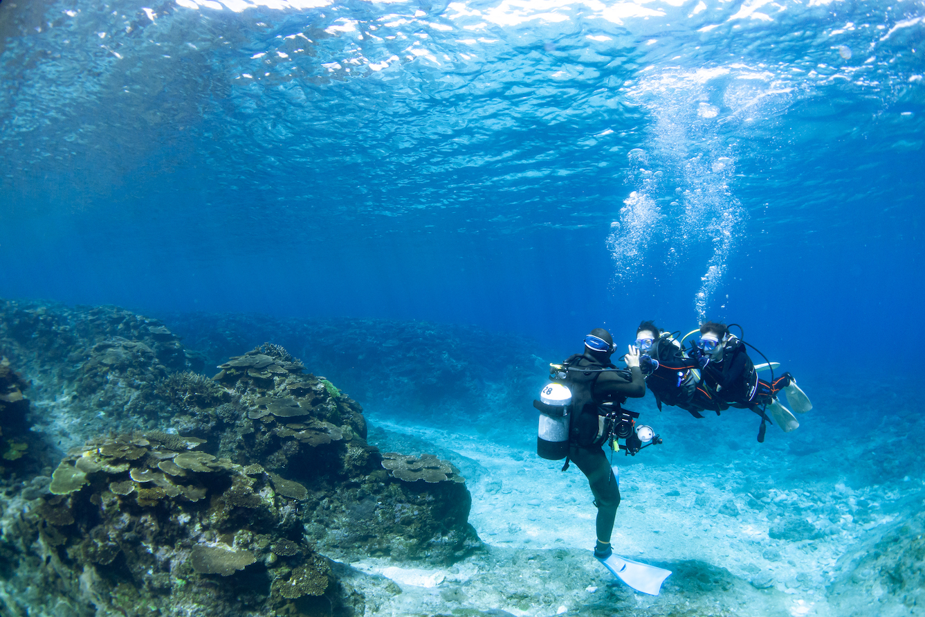 沖縄北部 体験ダイビング 水納島 サンゴ礁 SHIZUKA