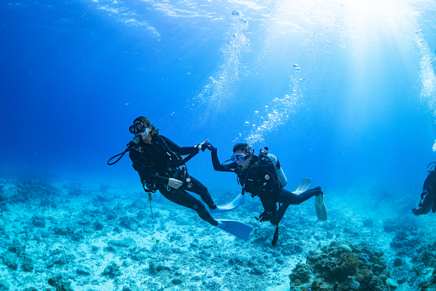 沖縄北部 体験ダイビング 水納島 サンゴ礁 SHIZUKA